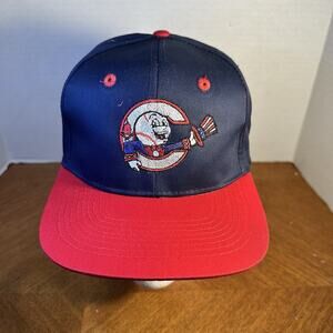 Vintage 1990's Springfield Capitals MILB Independent Frontier Lg Snapback Hat